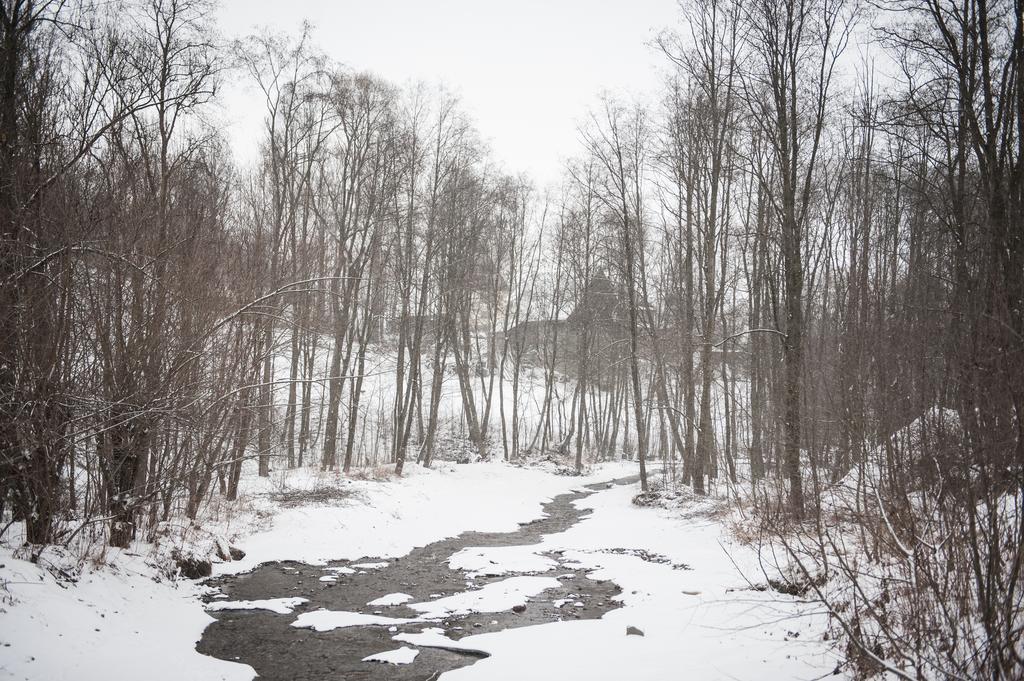 Willa Lano Biały Dunajec Quarto foto