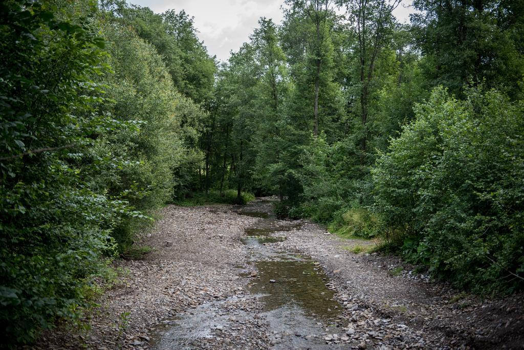 Willa Lano Biały Dunajec Exterior foto